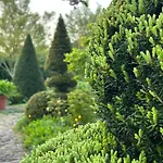 Σπίτι διακοπών Altes Gesellenhaus Bei Bad Bevensen