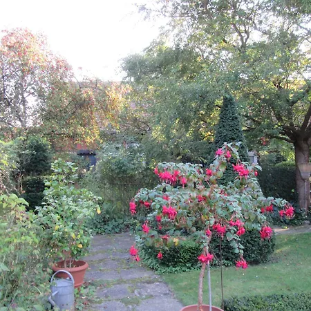 Altes Gesellenhaus Bei Bad Bevensen